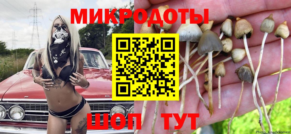 Мичуринск  Псилоцибиновые грибы ЛСД  Вход с VPN 